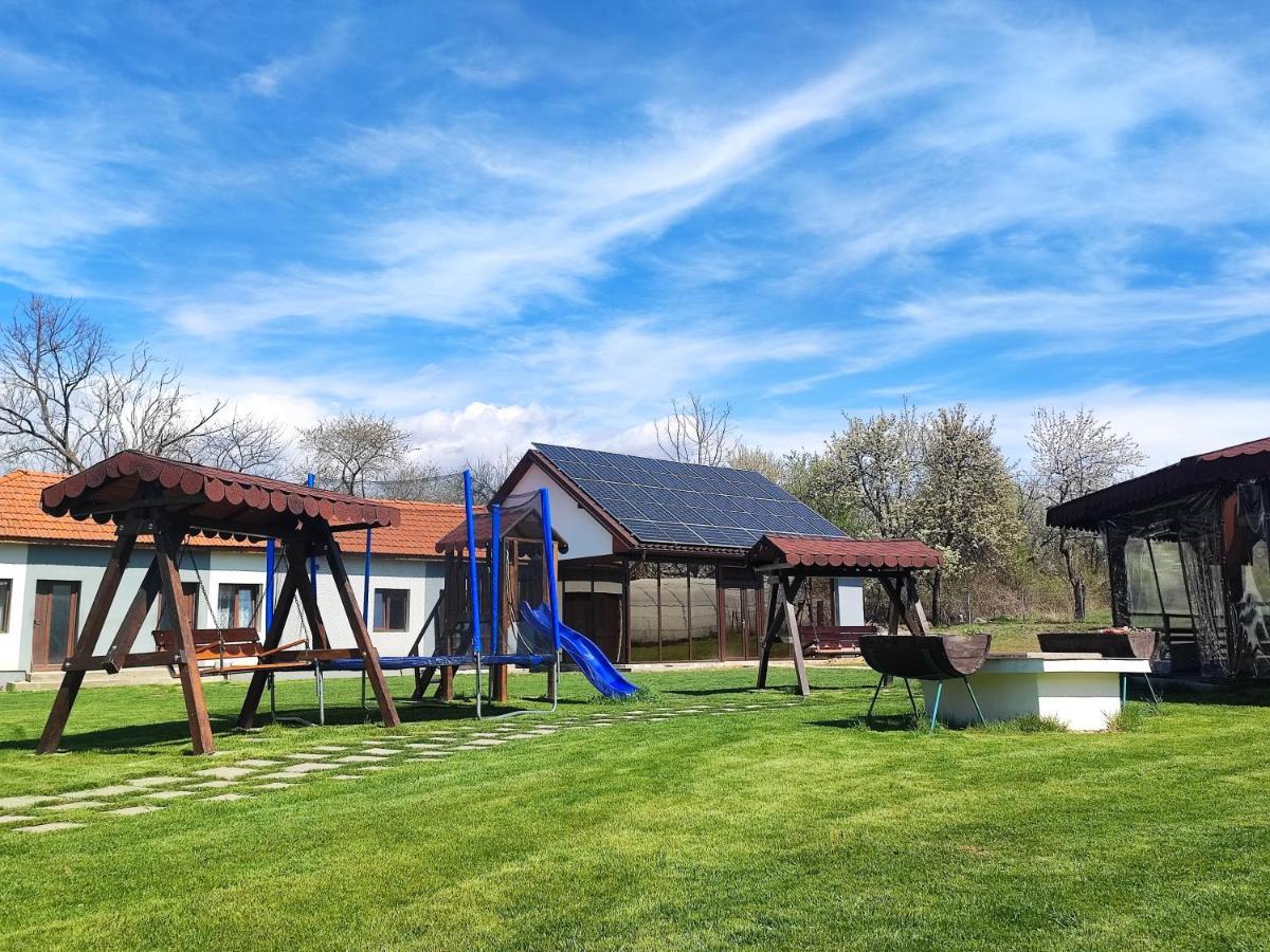 Pensiunea Casa Hortopan Târgu Jiu エクステリア 写真