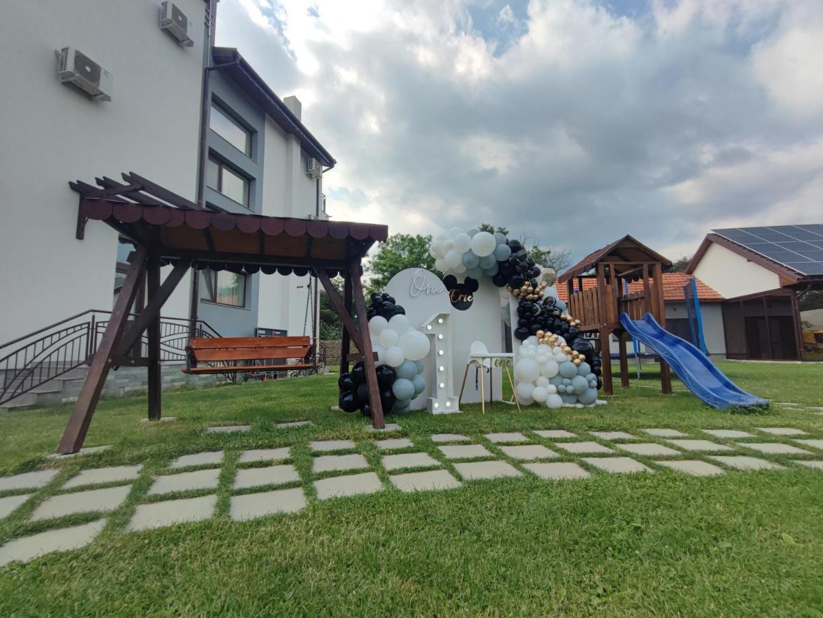 Pensiunea Casa Hortopan Târgu Jiu エクステリア 写真