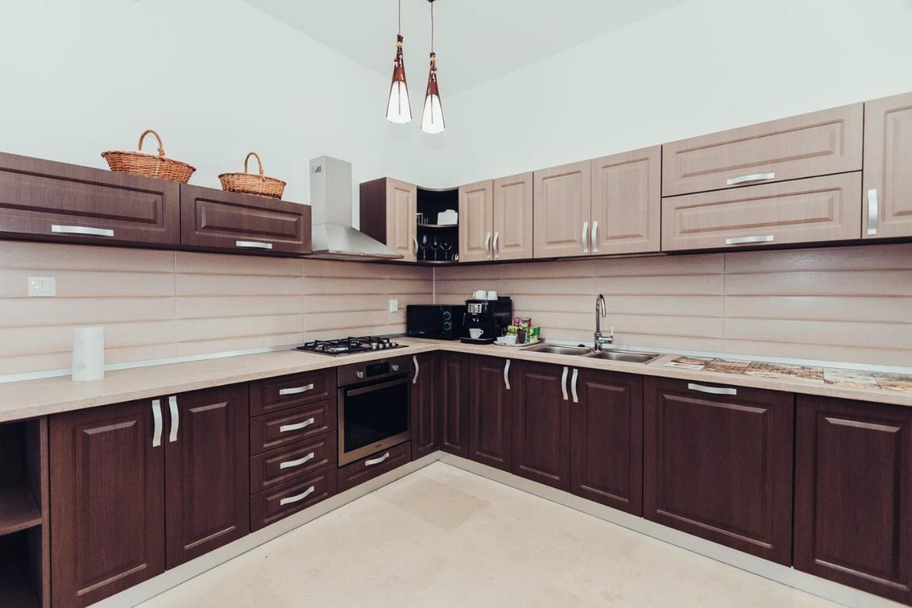 Pensiunea Casa Hortopan Târgu Jiu エクステリア 写真